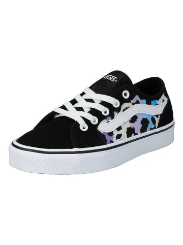 Vans Sneaker Filmore Decon in blue/purble