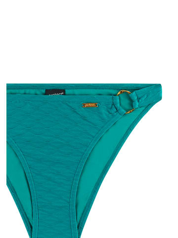 Protest " MIXGayle in Peacock Green