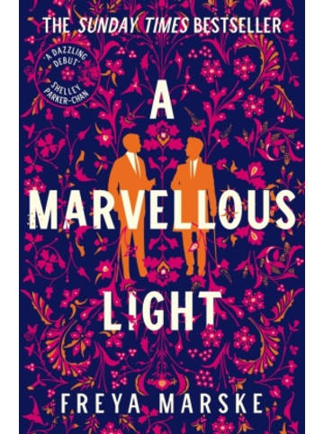 Macmillan US Buch - A Marvellous Light