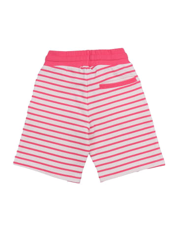 Walkiddy Shorts Pink stripes 12-Shorts