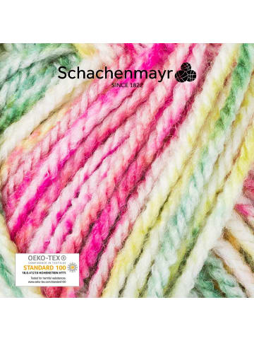 Schachenmayr since 1822 Handstrickgarne Bravo Color, 50g in Wassermelone