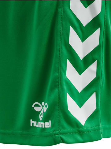 Hummel Hummel Shorts Hmlcore Multisport Unisex Erwachsene Atmungsaktiv Feuchtigkeitsabsorbierenden in JELLY BEAN