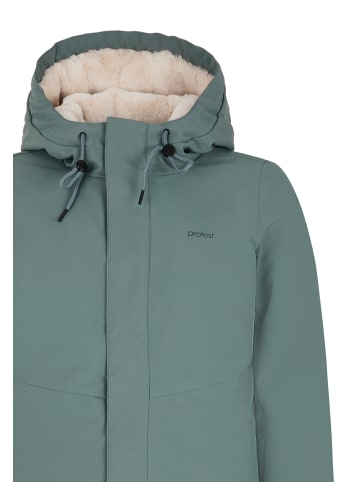 Protest " PRTNANSE in Evergreen