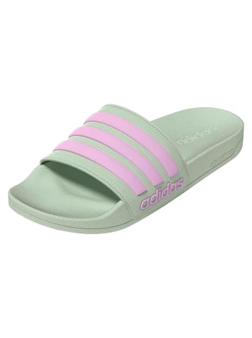 adidas Badeschuhe Adilette Shower in Hellgrün