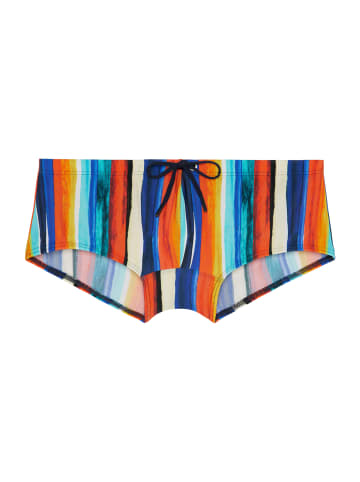 HOM Swim Trunk Bamboo in multicolor stripes