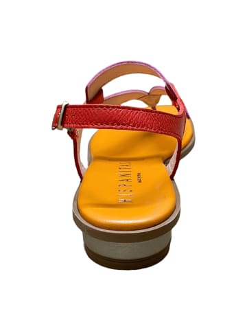 Hispanitas Zehenstegsandalen in Lila