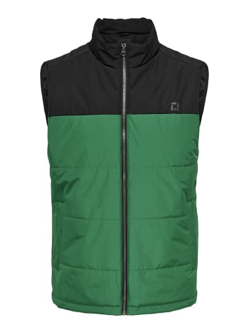 ONLY & SONS Steppweste in Black