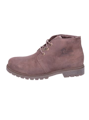 PANAMA JACK Schnürschuh in taupe