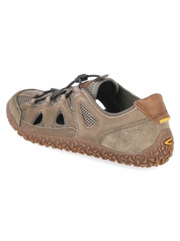 Camel Active Schnürhalbschuh in green
