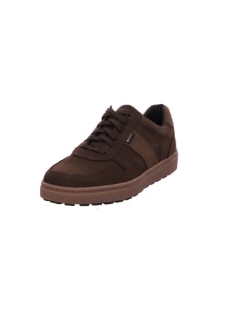 Gabor Sneaker Low in grün