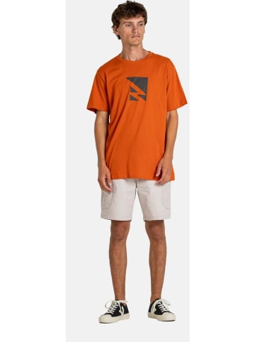 Reell Short "Reflex Easy Cargo Short Br" in Grau