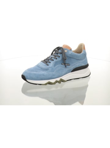 Floris van Bommel Sneaker in blau