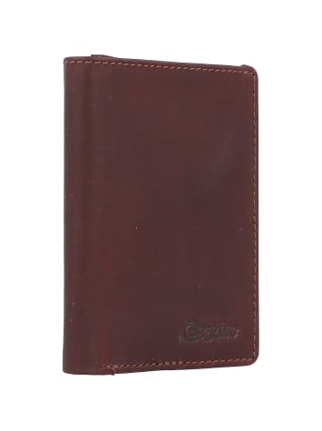 Esquire Oslo Kreditkartenetui RFID Leder 8 cm braun