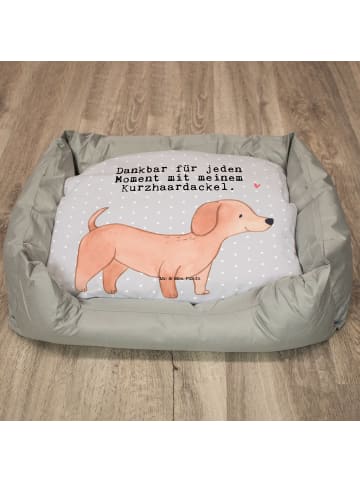 Mr. & Mrs. Panda Hundesofa Dackel Kurzhaardackel Moment mit Spruch in Grau Pastell