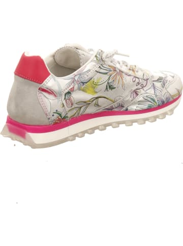 Cetti Schnürschuh in bunt