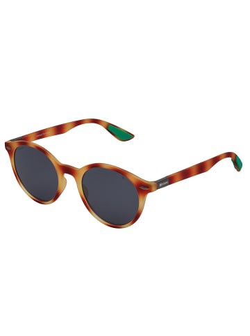 Kodak Sonnenbrille in Brown