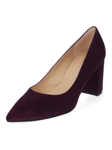 PETER KAISER Pumps in Violett