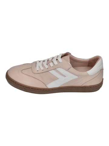 Andrea Conti Sneaker Low FREYA 0067151 in rosa