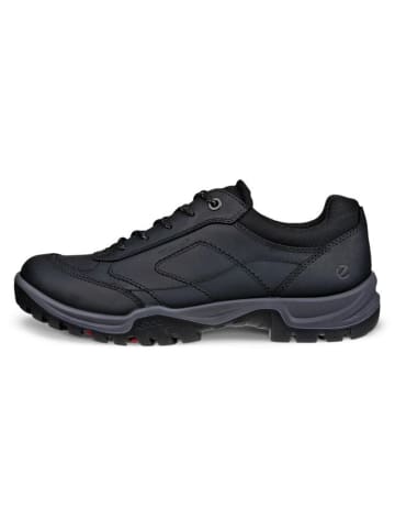 Ecco Sneaker in schwarz