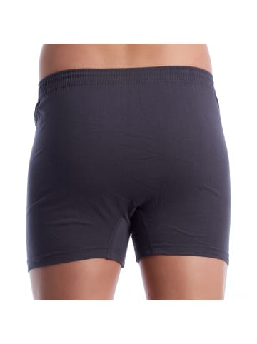 Omera Organic Boxershorts in Gray