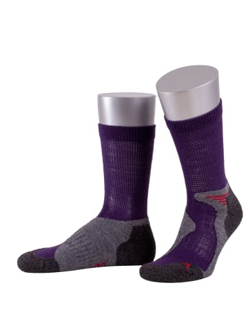 JD J. Dirks Outdoor-Funktions-Wollsocken OD40 in violett (29)