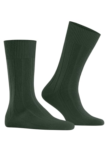 Falke Socken Lhasa Rib in Mistletoe