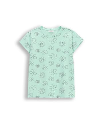 Coccodrillo T-shirt mit kurzen Ärmeln in in Minzfarbe