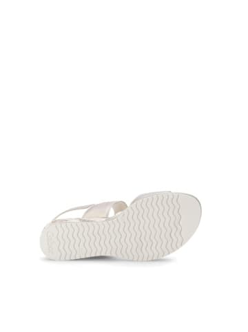 Gabor Riemchen Sandalen für Damen in beige