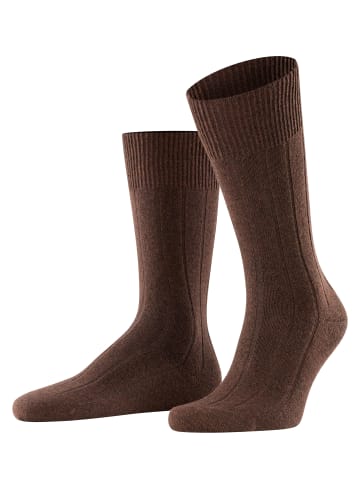 Falke Socken Lhasa Rib in Brown