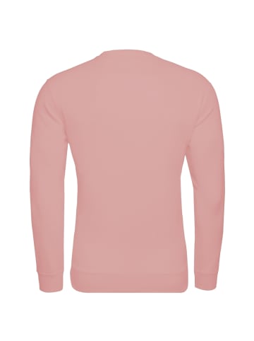 Champion Sweatshirt Crewneck in rosa