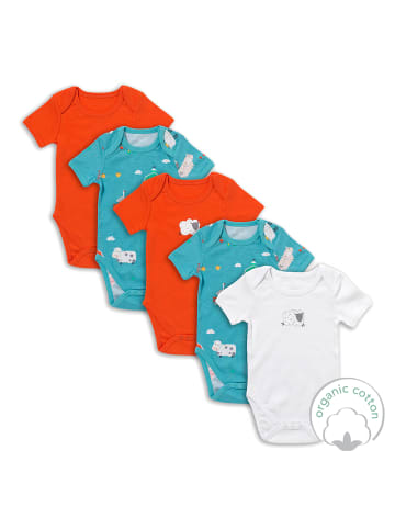 Schlummersack Bio Baby-Bodys kurzarm 5er-Pack in Hellblau-Rot