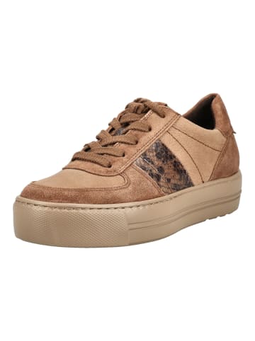 Paul Green Sneaker Tan