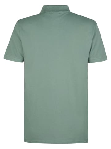 Petrol Industries Klassisches Poloshirt Dolphin in Grün