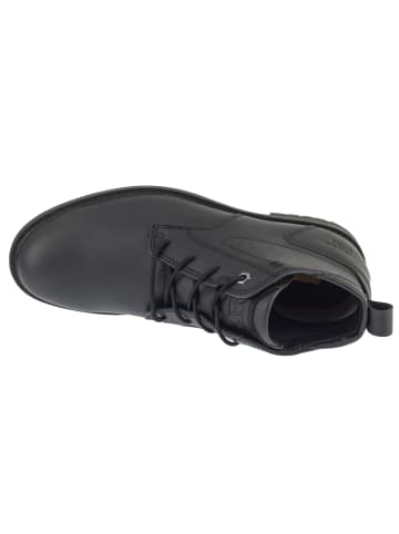Caterpillar Caterpillar Staten Chukka in Schwarz