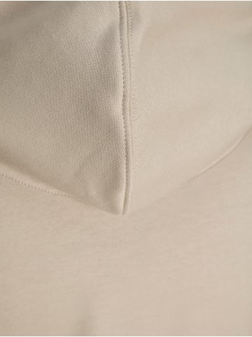 Jack & Jones Kapuzenpullover in Moonbeam