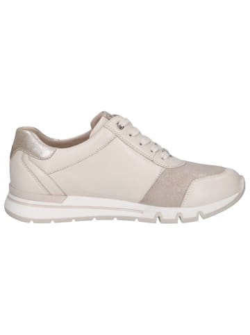 Caprice Sneaker in OFFWHITE COMB