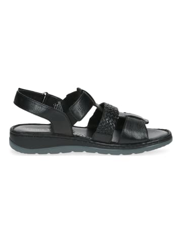 Caprice Sandalen in Schwarz