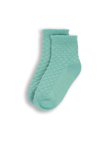 Coccodrillo Socken in grün