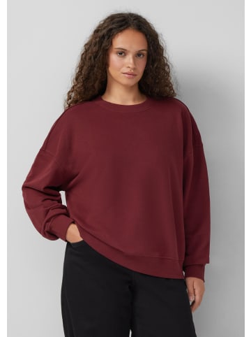 QS Sweatshirt in 3900_bordeaux