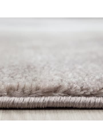 Teppich Boss Kurzflor Teppich Paolo Braun