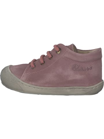 Naturino Lauflernschuhe in ROSE/BEIGE