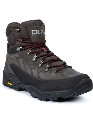 DLX Wanderschuh in Grau