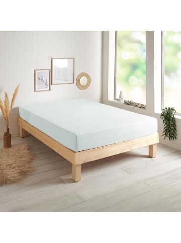 Traumschlaf Spannbettlaken Single Jersey in silber