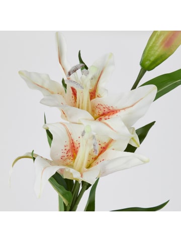 Butlers Kunstblume FORISTA Lilien in Weiß