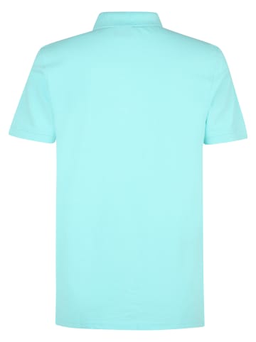 Petrol Industries Klassisches Poloshirt Dolphin in Blau