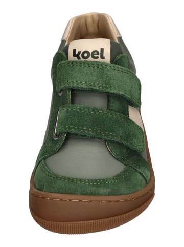 KOEL Sneaker Low KOBI W II  in grün