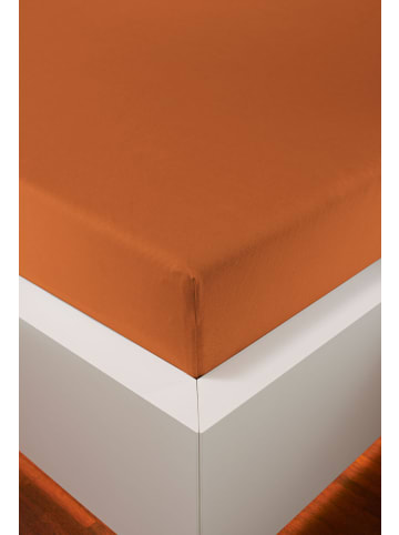 bellana jersey Spannbetttuch Edel-Jersey Elasthan in papaya