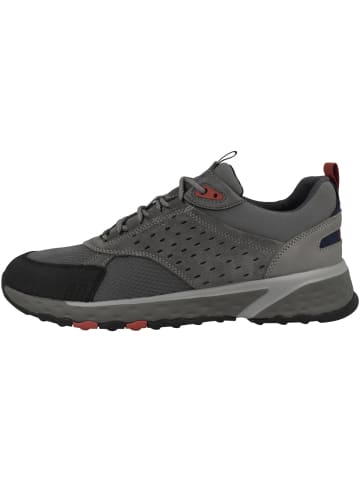 Geox Sneaker low U Sterrato A in grau