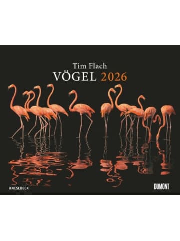 DuMont Kalenderverlag Kalender - Tim Flach: Vögel 2026 - Posterkalender von DUMONT- Vogel-Portr&