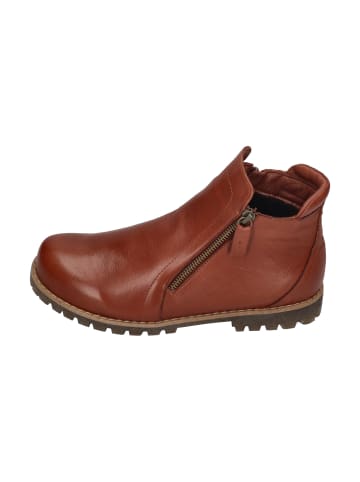 Andrea Conti Stiefeletten 0344818-070 in braun